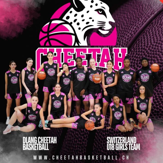Cheetah Team Cheetah Team