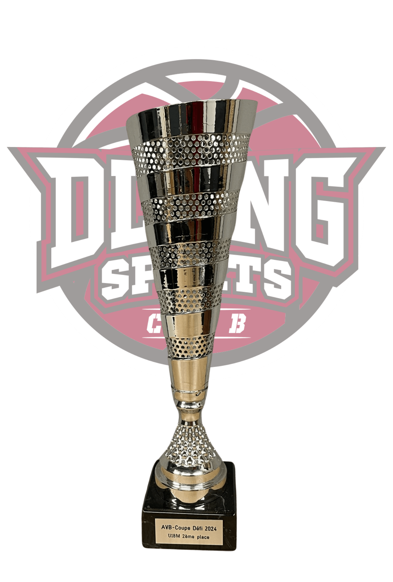 https://dlangbasketball.ch/wp-content/uploads/2025/03/AVB.png