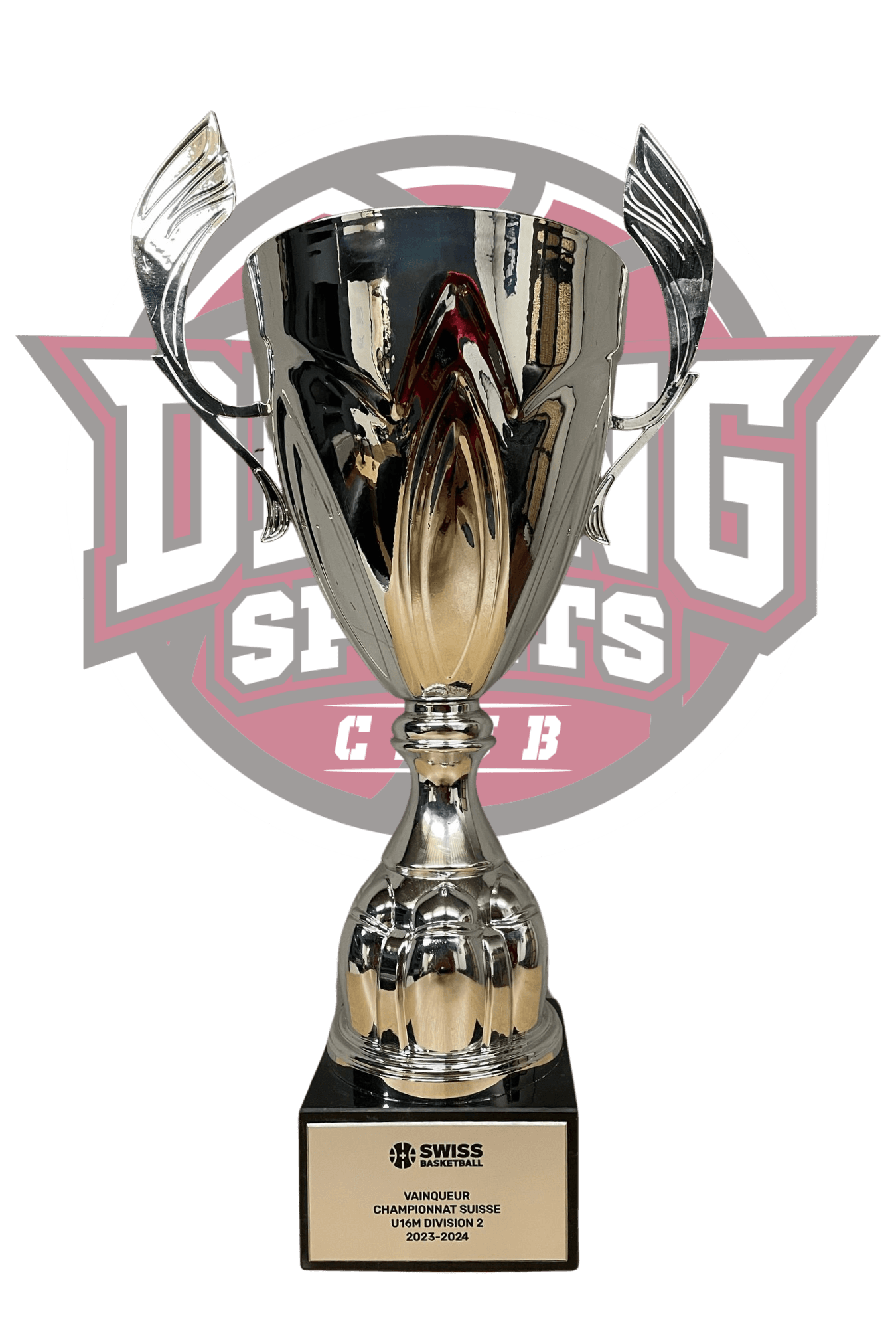 https://dlangbasketball.ch/wp-content/uploads/2025/03/CSJC.png
